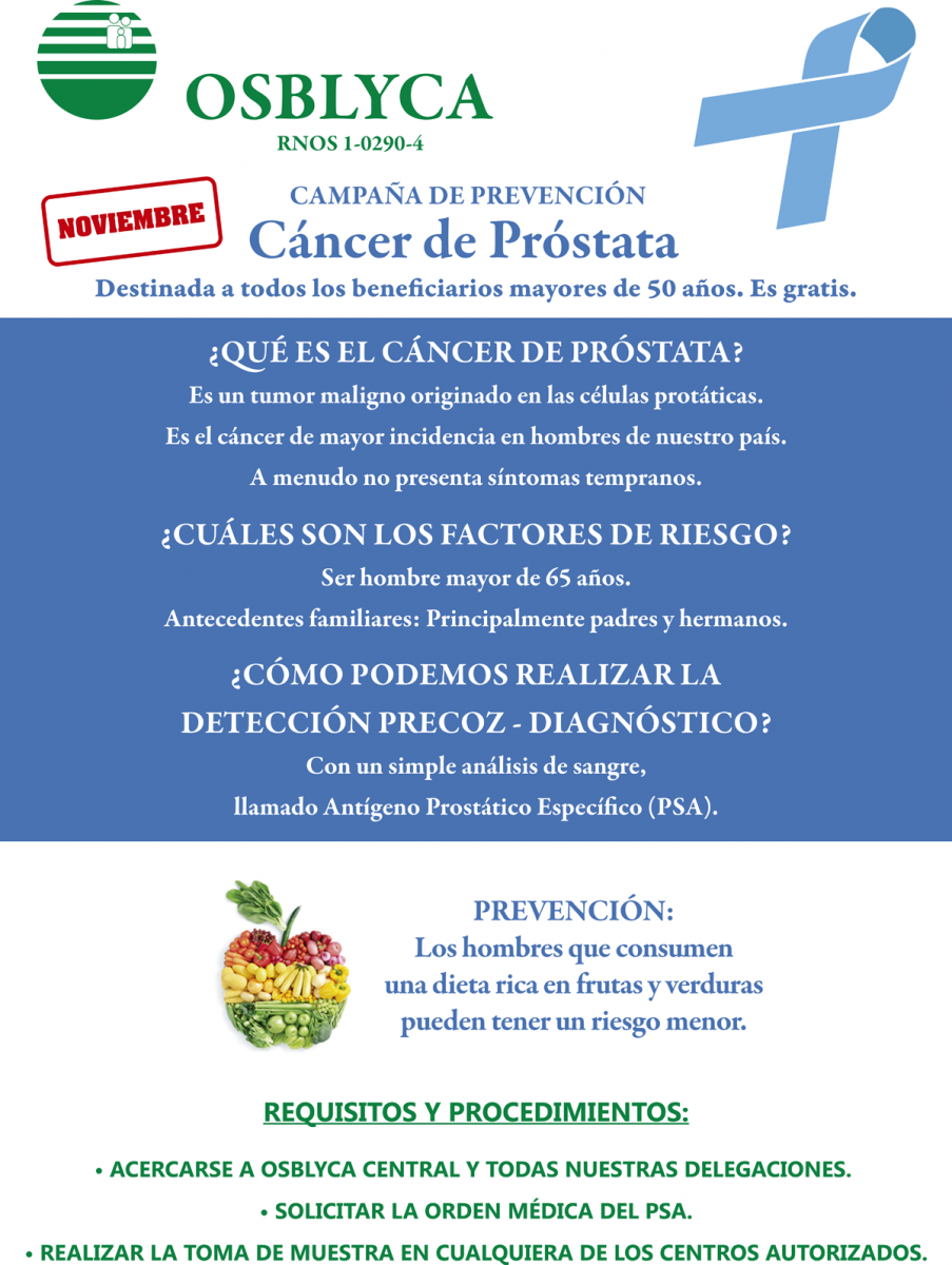 Novedades